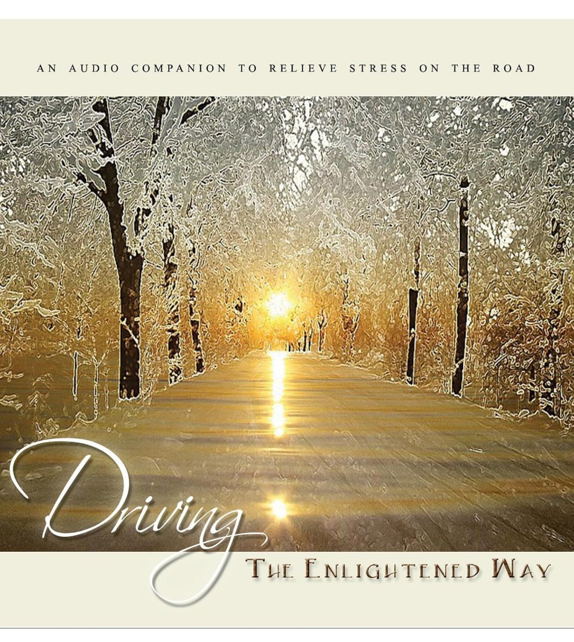 Driving the Enlightened Way Mp3